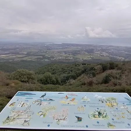 Cote Orientale : Mare E Monte
